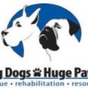 Big Dogs Huge Paws logo