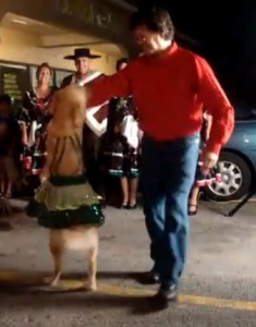 dancing dog