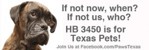 HB 3450 PawsTexas Banner