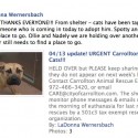 Carrollton Animal Shelter Update for 04/13/11