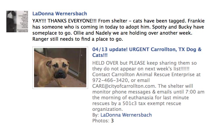 Carrollton Animal Shelter Update for 04/13/11 