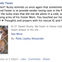 Photo of Rusty a chiweenie rescued from TLAC