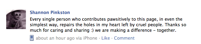 A photo of a positive comment left on our Facebook networking page