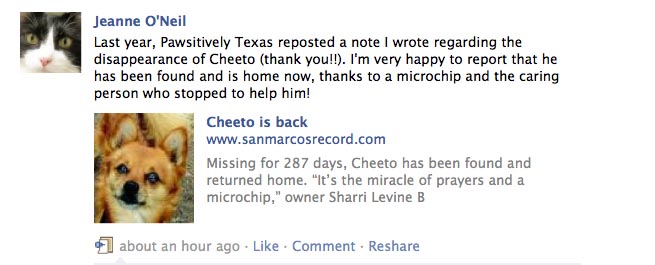 Lost dog cheetos story photo