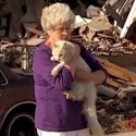 Cat Reunited with Tornado Victim Owner