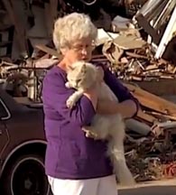 Cat Reunited with Tornado Victim Owner