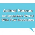 animal rescue image