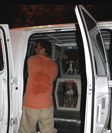 Austin Pets Alive Bastrop County Animal Rescue Texas wildfires