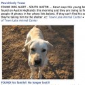 Networking pets saves lives austin lab