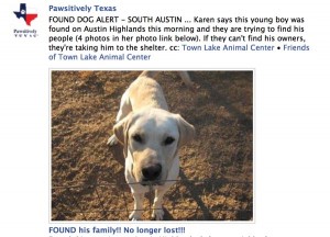 Networking pets saves lives austin lab