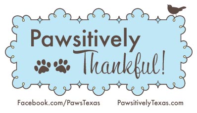 Pawsitively Thankful image