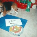 Maggie Mae Christmas Cookies for Pawsitively Texas