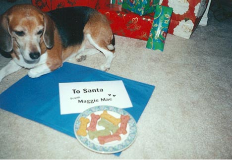 Maggie Mae Christmas Cookies for Pawsitively Texas