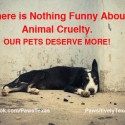 Nothing-funny-about-animal-cruelty nothing funny about animal cruelty photo