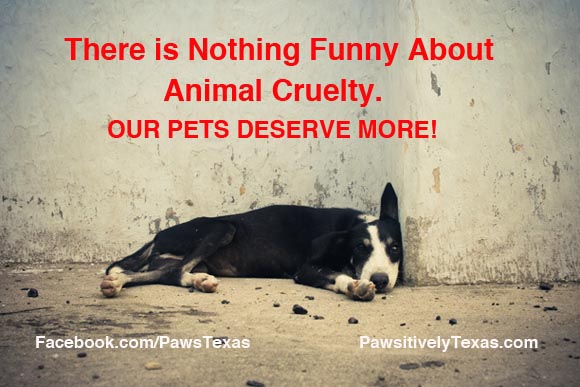Nothing-funny-about-animal-cruelty nothing funny about animal cruelty photo