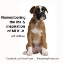 Martin Luther King Jr Tribute on Pawsitively Texas