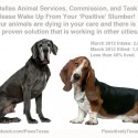 dallas animal services commission wake up pets are dying in your care