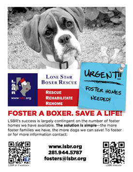 http://pawsitivelytexas.com/wp-content/uploads/2012/06/boxer-animal-rescue-volunteer-recruitment.png