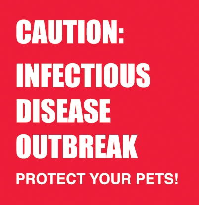 Infectious Disease Outbreak Threatens Pets