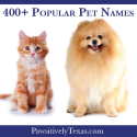 More than 400 Popular Pet Names