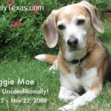 My Maggie Mae