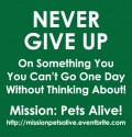 Never Give Up Mission Something You Can't Go One Day Without Thinking About Pets Alive