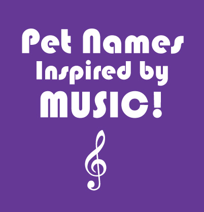 Pet Names Inspired By Music
