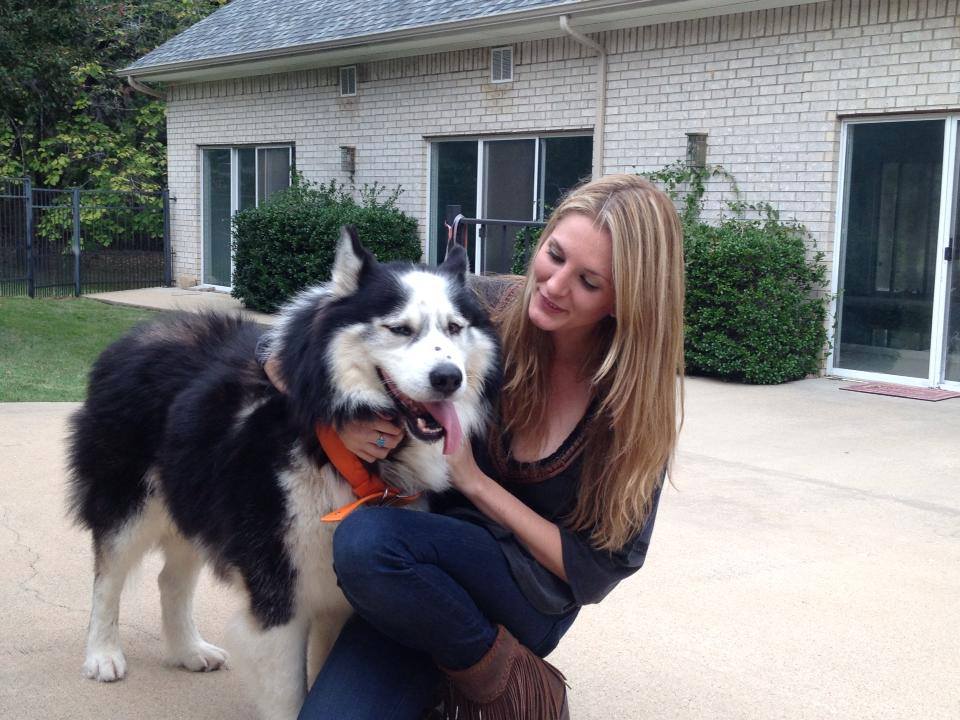 Husky Dog Saved Through Networking on Pawsitively Texas Facebook page