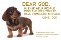 Puppy advocates for homeless animals