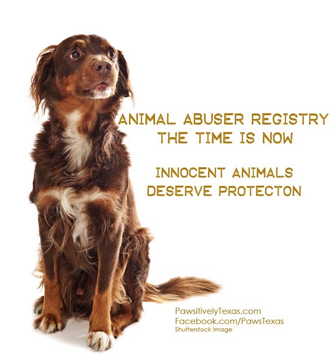 Animal Abuser Registry Legislation