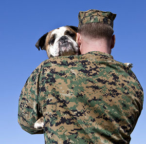 Rescue Dogs Helping Veterans Suffering from PTSD