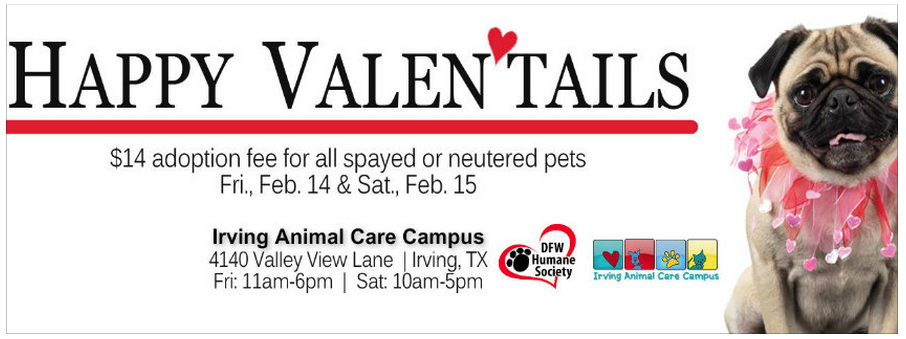 Valentine's Day Themed Pet Adoption Poster-Irving, Texas animal shelter