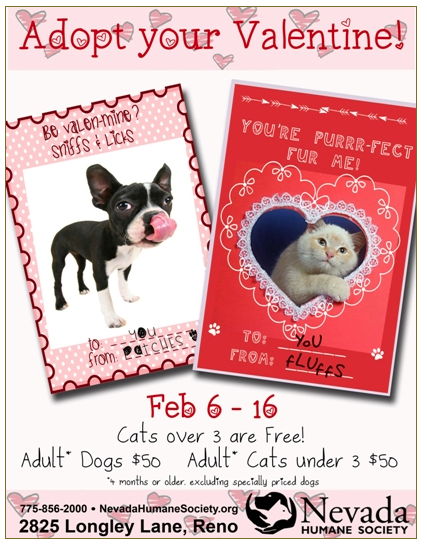 Adopt Your Valentine Pet Adoption