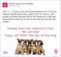 Fairfax County Animal Shelter Valentine Pet Adoption Promotion
