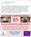 Seagoville Texas animal shelter pet adoption for Valentine's Day