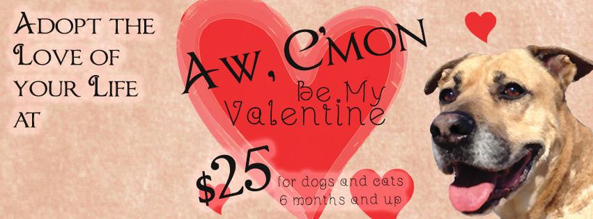 Williamson County Texas Valentine's Pet Adoption 