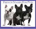 French Names For Pets