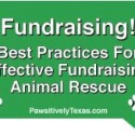 Best Practices-Fundraising