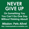 Never Give Up Mission Something You Can't Go One Day Without Thinking About Pets Alive
