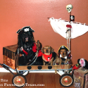 Talk Like A Pirate Day - Cute Pirate Dogs