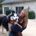 Husky Dog Saved Through Networking on Pawsitively Texas Facebook page