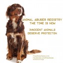 Animal Abuser Registry Legislation