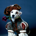 Pet Names Inspired by Shakespeare
