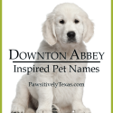 Pet Names Inspired by Downton Abbey