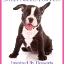 Sweet Names For Pets